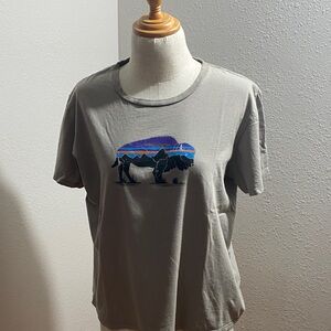 Patagonia Organic Cotton Gray T-Shirt